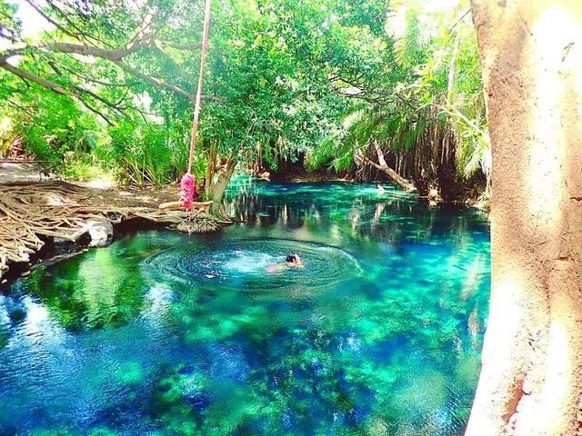 Une personne nage dans une piscine naturelle d’un bleu clair éclatant, entourée d’arbres.