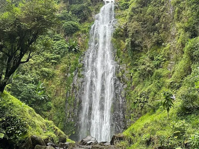 Une vue panoramique sur une haute cascade qui dévale une falaise verdoyante et luxuriante.