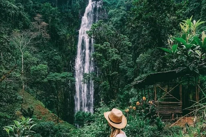 A person with a straw hat admiring a tall waterfall amidst a dense forest.