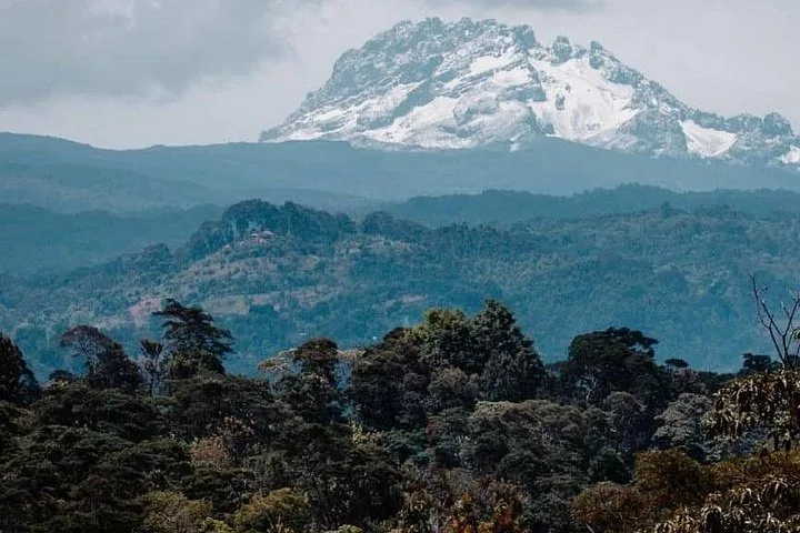A majestic snow-capped mountain peak towering over a forested, hilly landscape.