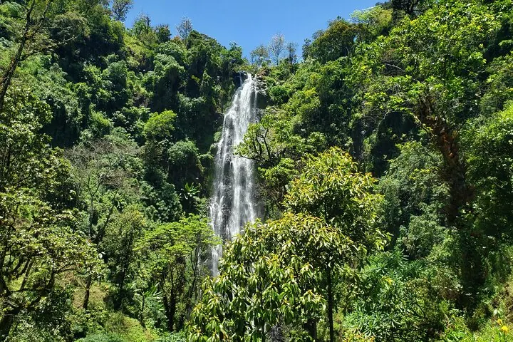 A stunning, tall waterfall plunging through a vibrant, dense green tropical forest.